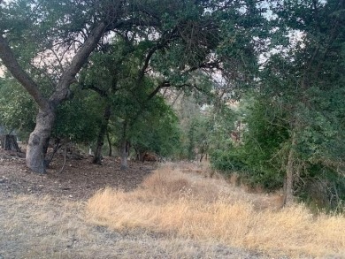 Lake Lot For Sale in Copperopolis, California