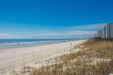 Stunning ocean views from this fully furnished 2-bedroom, 2 bath - photo 41