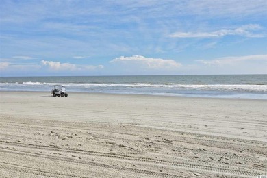 Stunning ocean views from this fully furnished 2-bedroom, 2 bath - photo 42