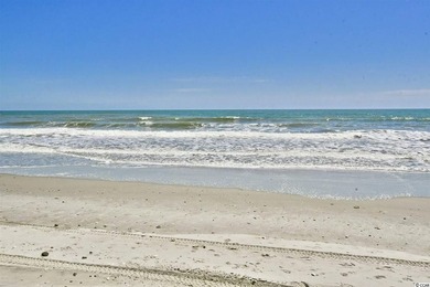Stunning ocean views from this fully furnished 2-bedroom, 2 bath - photo 43