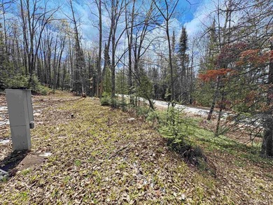 Bring your vision to life with this 1.05 acre parcel located - photo 3