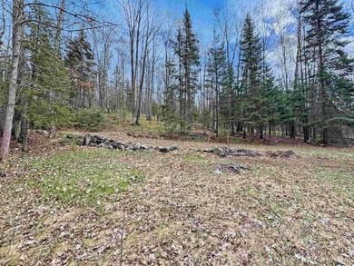 Bring your vision to life with this 1.05 acre parcel located - photo 5