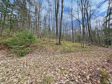 Bring your vision to life with this 1.05 acre parcel located - photo 6