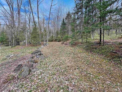 Bring your vision to life with this 1.05 acre parcel located - photo 7