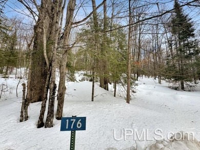 Bring your vision to life with this 1.05 acre parcel located - photo 8