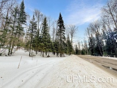 Bring your vision to life with this 1.05 acre parcel located - photo 9