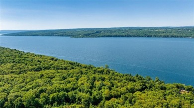 Cayuga Lake Acreage For Sale in Lansing New York