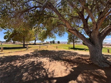 Golf course views, corner lot, mountain views, and Valle Vista - photo 21
