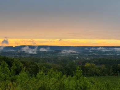 Lake Acreage For Sale in Dayton, Tennessee