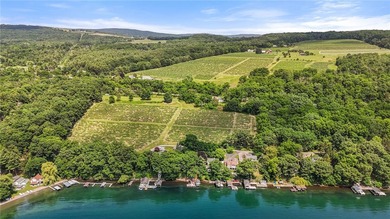 Seneca Lake Waterfront Legacy - 117' of Prime Frontage Rare - photo 39