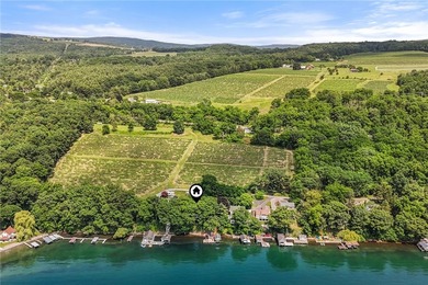 Seneca Lake Waterfront Legacy - 117' of Prime Frontage Rare - photo 40