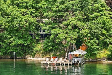 Seneca Lake Waterfront Legacy - 117' of Prime Frontage Rare - photo 41
