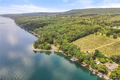 Seneca Lake Waterfront Legacy - 117' of Prime Frontage Rare - photo 45