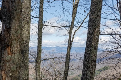 Tucked away in approximately 60.30+/- acres of unrestricted - photo 5