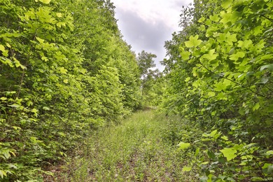 Tucked away in approximately 60.30+/- acres of unrestricted - photo 7