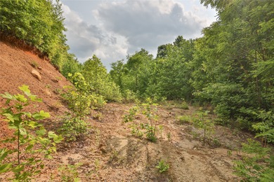 Tucked away in approximately 60.30+/- acres of unrestricted - photo 8
