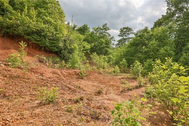 Tucked away in approximately 60.30+/- acres of unrestricted - photo 9