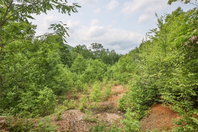 Tucked away in approximately 60.30+/- acres of unrestricted - photo 10