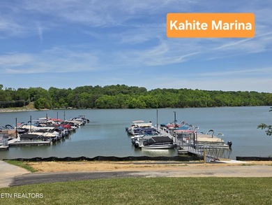 518 Gohi Trail: Welcome to Kahite - a Tellico Village community - photo 50