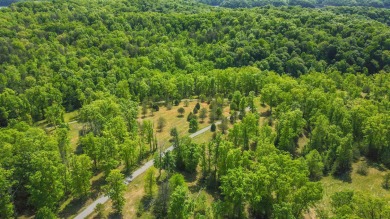 Lake Acreage For Sale in Nancy, Kentucky