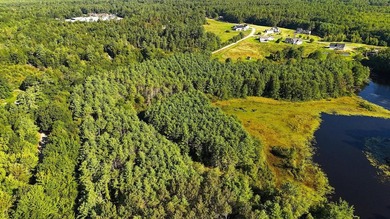 Large lot with water access to Estes Lake. This large lot offers - photo 11