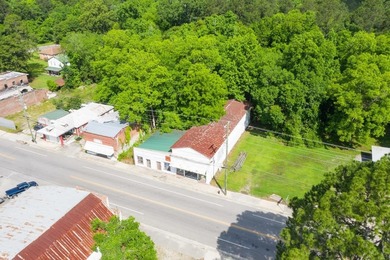 Lake Marion Commercial For Sale in Eutawville South Carolina