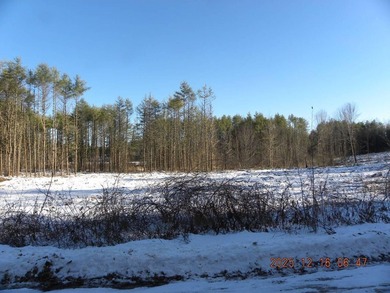 Large lot with water access to Estes Lake. This large lot offers - photo 17