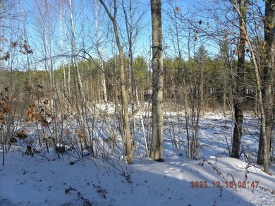 Large lot with water access to Estes Lake. This large lot offers - photo 19