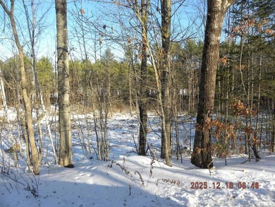 Large lot with water access to Estes Lake. This large lot offers - photo 20