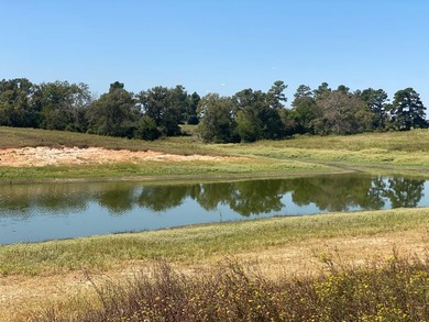 (private lake, pond, creek) Acreage For Sale in Centerville Texas