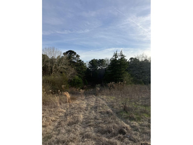 Don't miss out on your opportunity to own just over 10 peaceful - photo 4