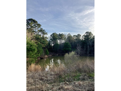 Don't miss out on your opportunity to own just over 10 peaceful - photo 5