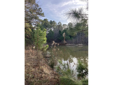 Don't miss out on your opportunity to own just over 10 peaceful - photo 6