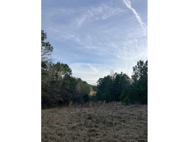 Don't miss out on your opportunity to own just over 10 peaceful - photo 8