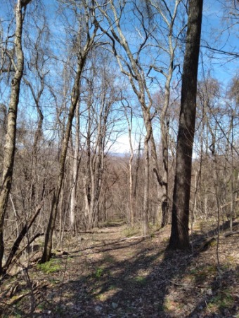 Cherokee Lake Acreage For Sale in Thorn Hill Tennessee