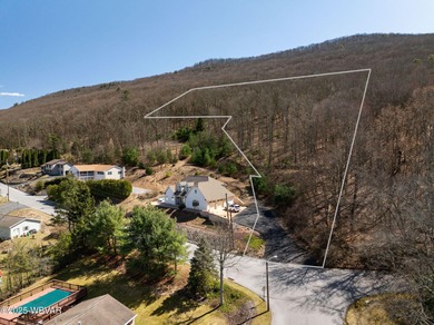 Susquehanna River - Clinton County Acreage For Sale in South Williamsport Pennsylvania