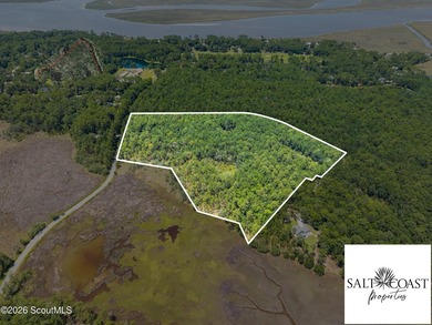 (private lake, pond, coastal) Acreage For Sale in Townsend Georgia