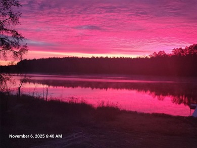 Envision Your Northwoods Dream Becoming Reality on Gilmore Lake! - photo 45