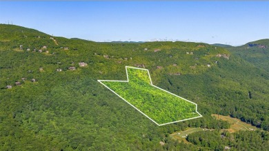 Lake Acreage For Sale in Lake Toxaway, North Carolina