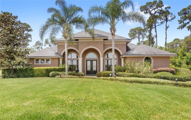 Lake Home Sale Pending in Mount Dora, Florida