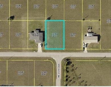 Desirable homesite in Cape Coral dimensions are 80x100. Great - photo 1