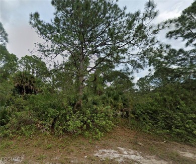 Lehigh Acres Area Lot For Sale in Lehigh Acres Florida
