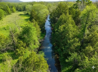 (private lake, pond, creek) Home For Sale in Talihina Oklahoma