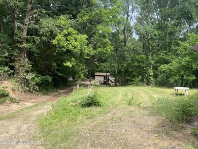 Are you a Mississippi Delta duck hunter? If so, check this - photo 12