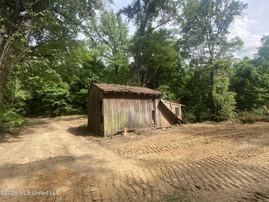 Are you a Mississippi Delta duck hunter? If so, check this - photo 13