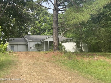 Are you a Mississippi Delta duck hunter? If so, check this - photo 20