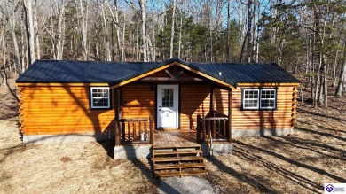 Nolin Lake Home For Sale in Clarkson Kentucky