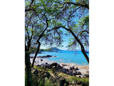 Ready to build your Makena, Maui Dream Home? Papa'anui, across - photo 21