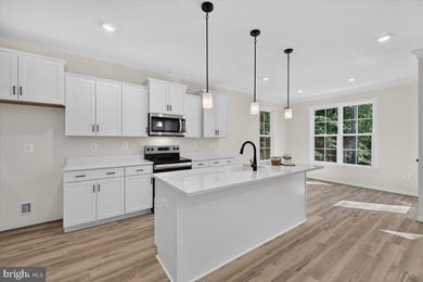 Builder incentive available! Qualified buyers may receive a - photo 33
