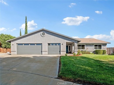 15850 Elcona - photo 43
